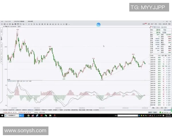 美国足球明星的崛起与影响力探讨及其在全球体育中的地位